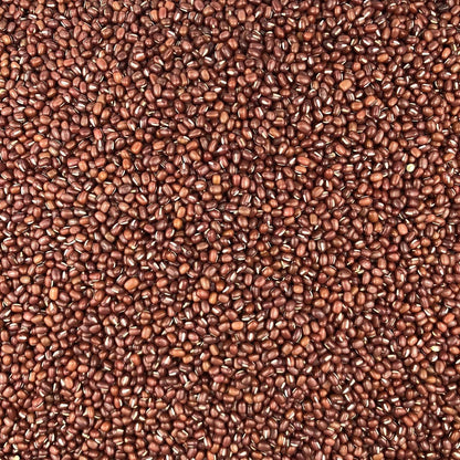 Judía Azuki Ecológica Granel 10 Kg_2