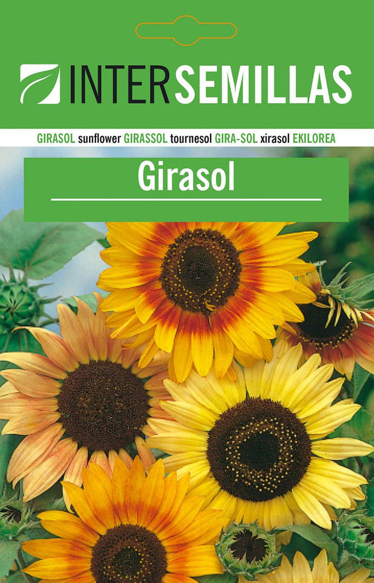 Sobre De Semillas De Girasol_0