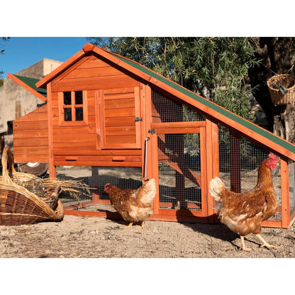 Gallinero madera Amsterdam