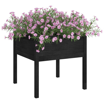Jardineras 2 Uds Madera Maciza De Pino Negro 70x70x70 Cm_2