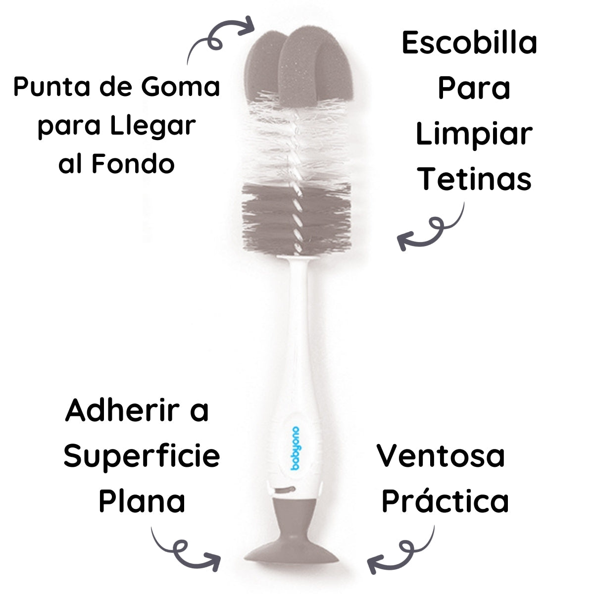 Babyono Cepillo Limpia Biberones Botellas Y Tetinas Con Ventosa | Limpieza A Fondo Sin Complicaciones_2