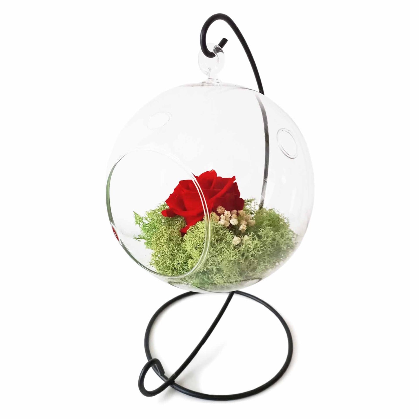 Rosa Eterna - Colgante Xl_0