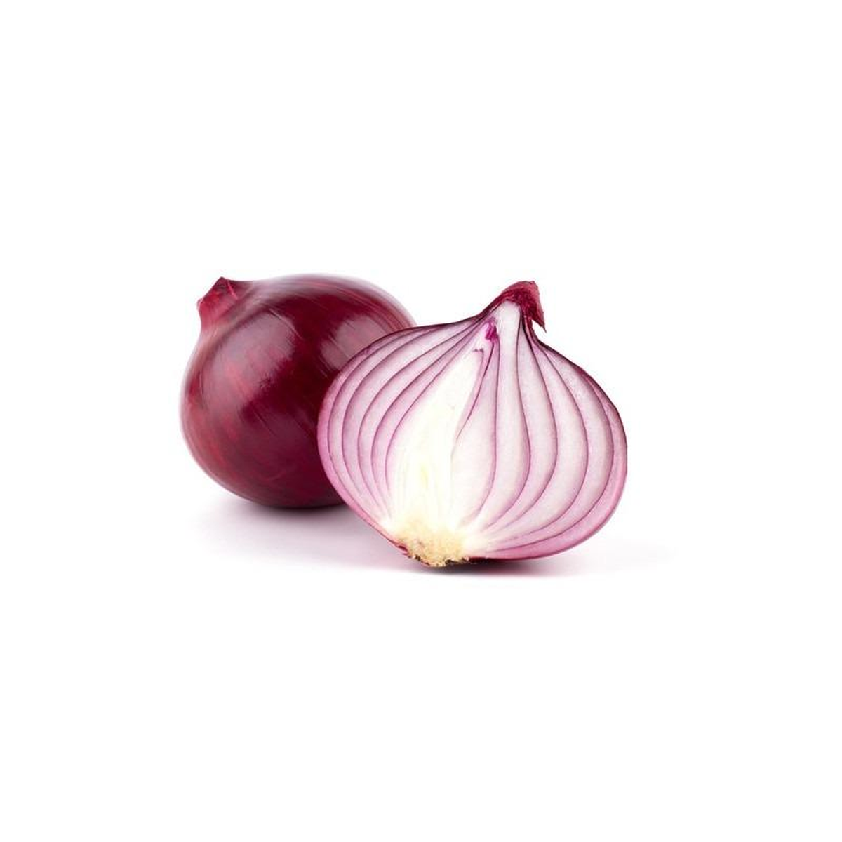 Plantón De Cebolla Roja 6 Uds. Gama Tradicional_0