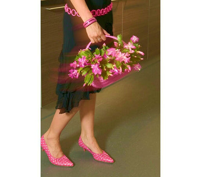 Schlumbergia M13 25cm (cactus De Navidad)