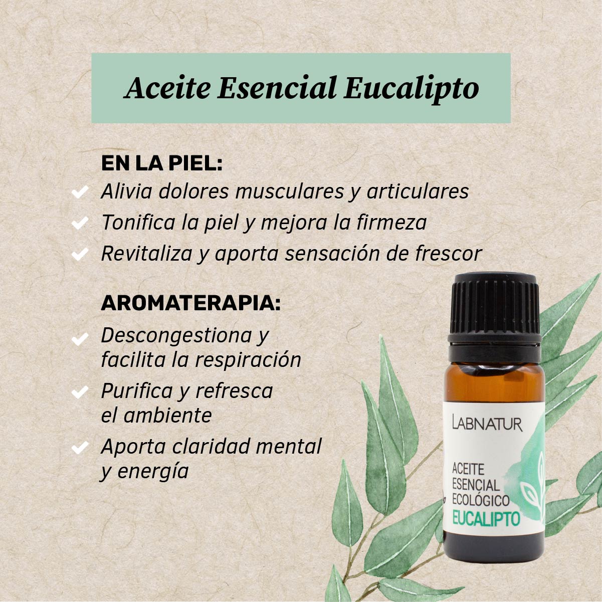 Aceite de Eucalipto Puro 10 ml | Refrescante y Purificante | Aromaterapia y Bienestar_1