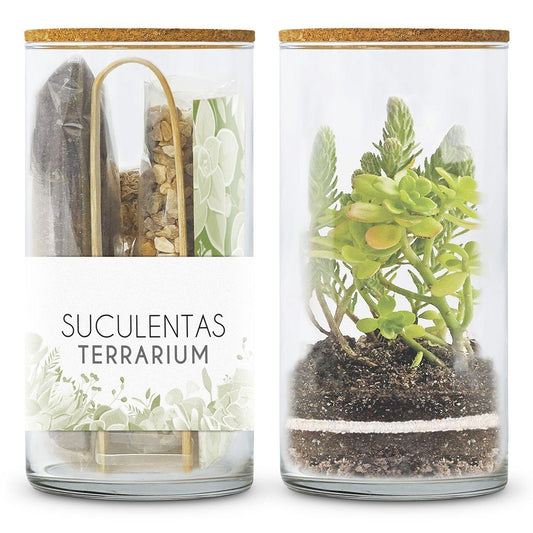 Kit Terrarium para Montar tu jardín de Suculentas, Garden Pocket