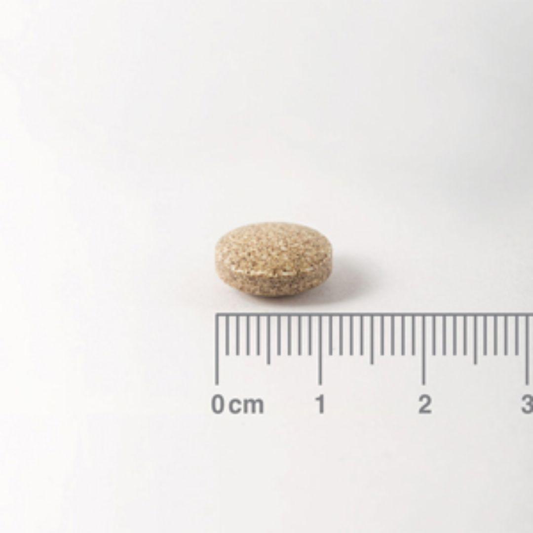 Ginkgo Biloba 6.000 mg, Lamberts 180 tabletas