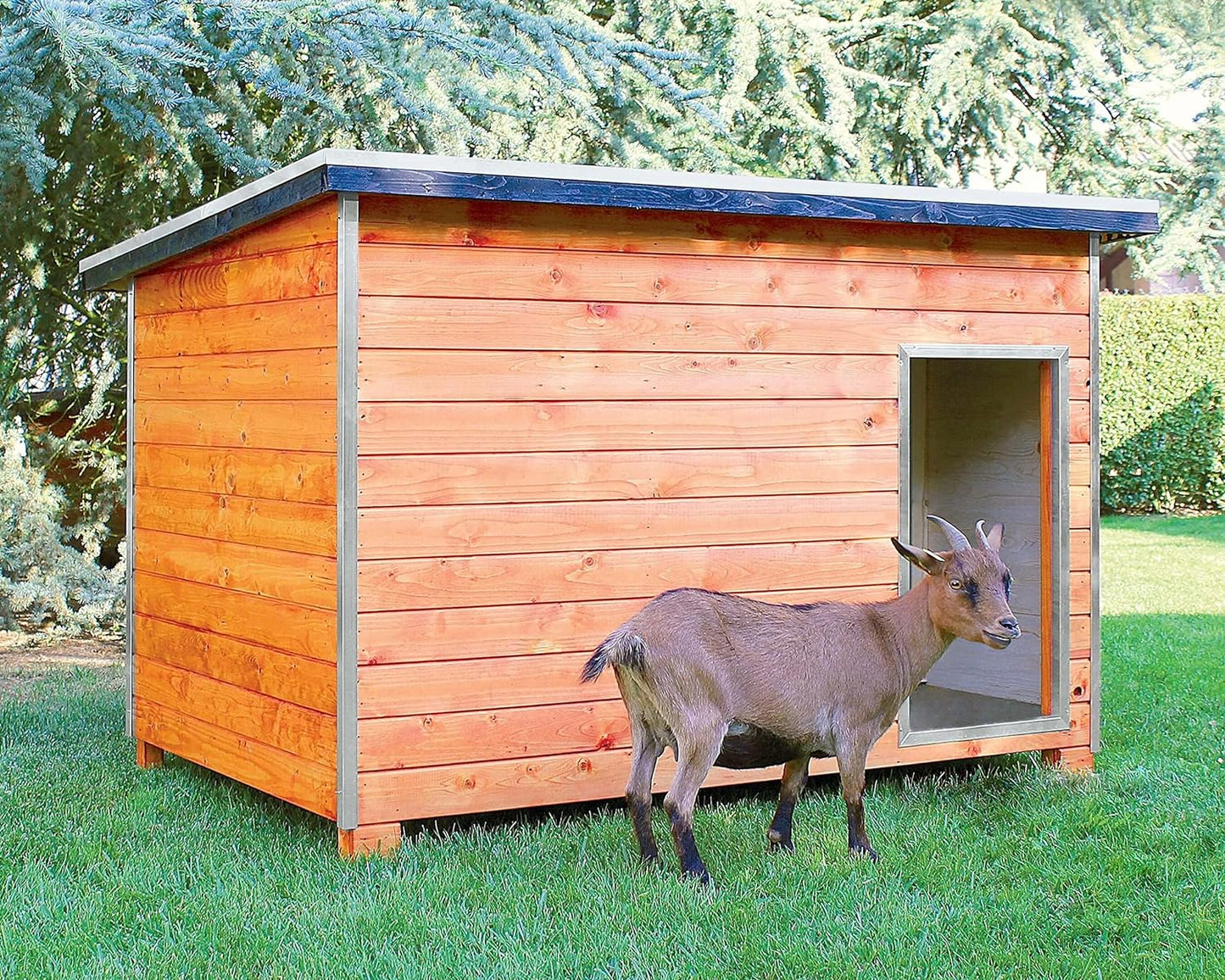 Gallinero Para Pavos Y Otras Grandes Aves - Caseta Para Animales - Refugio Para Cabras Y Ovejas_0
