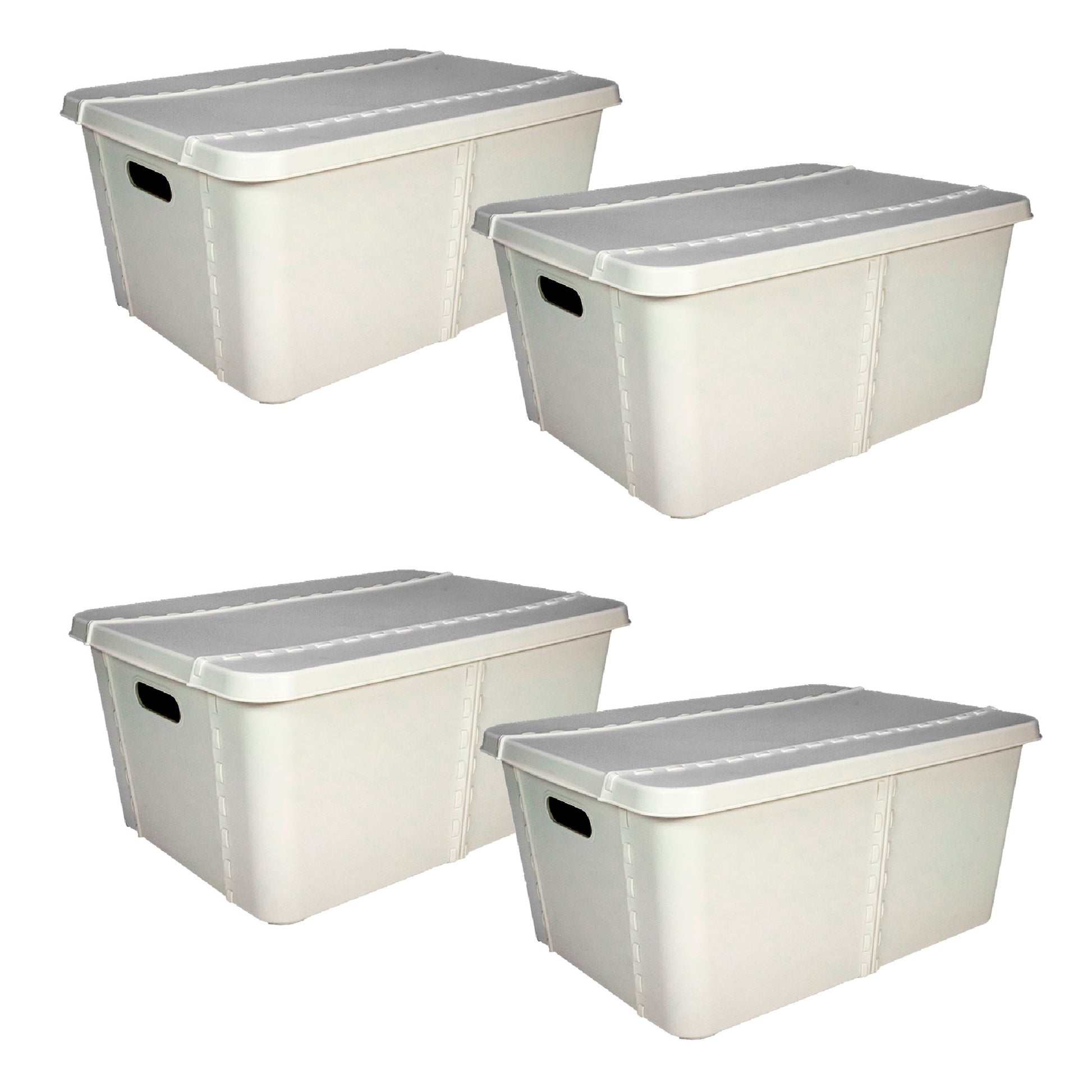 4x Life Story Caja Almacenaje  Con Tapa Small 15l Light Grey_0