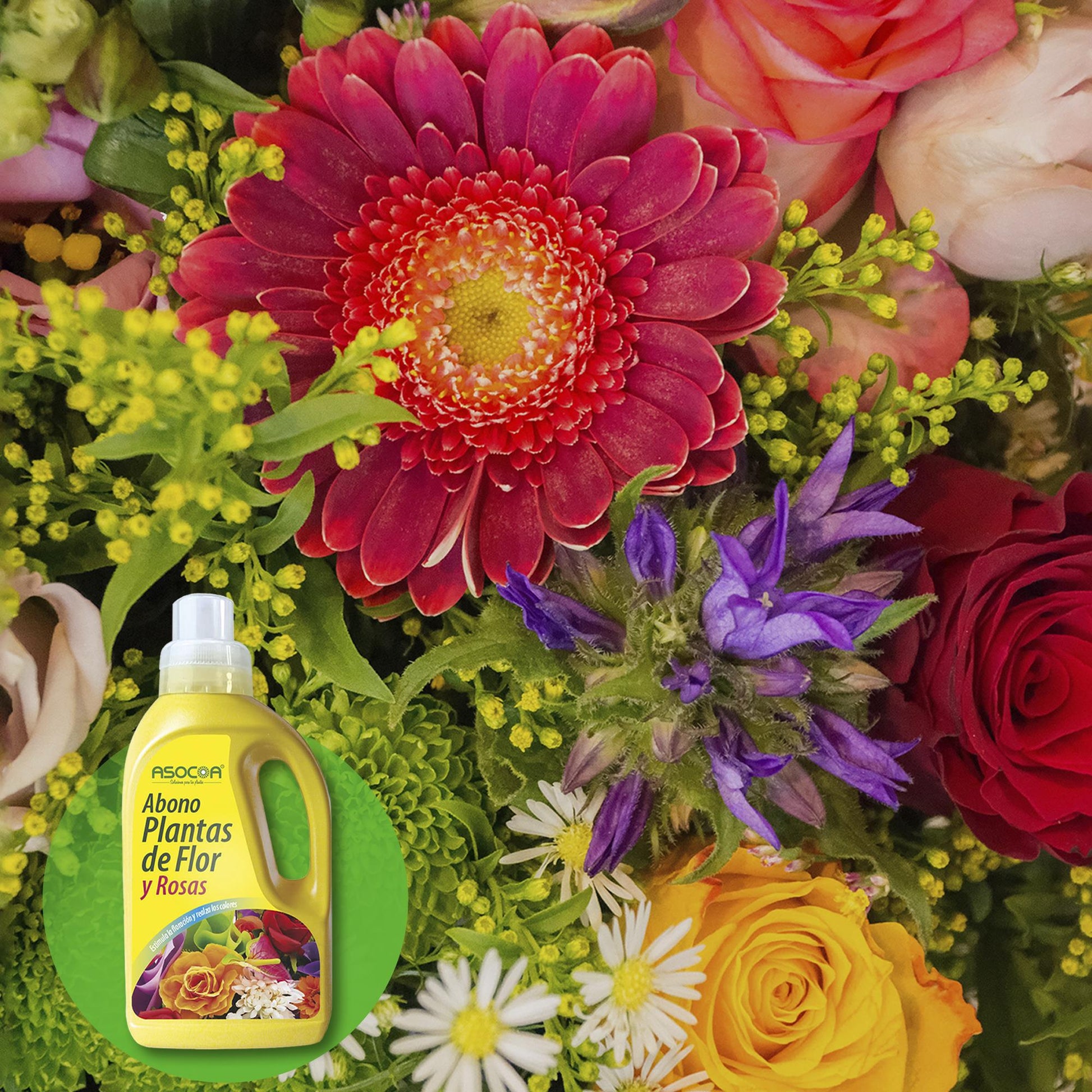 Abono Liquido Para Rosas Y Plantas Con Flor 1 Litro_2