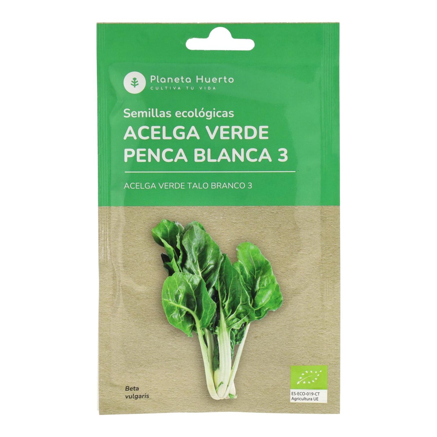 Semillas de Acelga Verde ecológicas Planeta Huerto