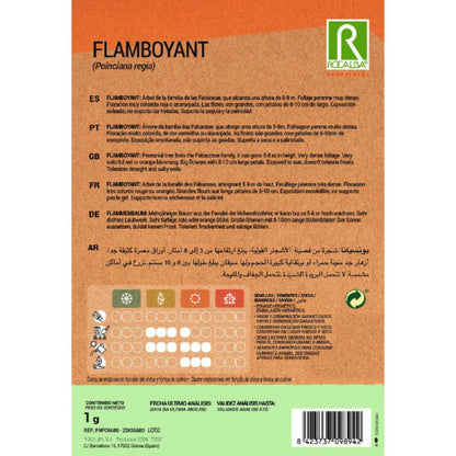 Semillas de Flamboyant Ponciana regia