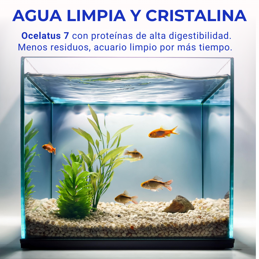 Comida Para Peces Agua Fría Y Tropicales Alimento En Escamas Nutrición Completa, Ocelatus7_2