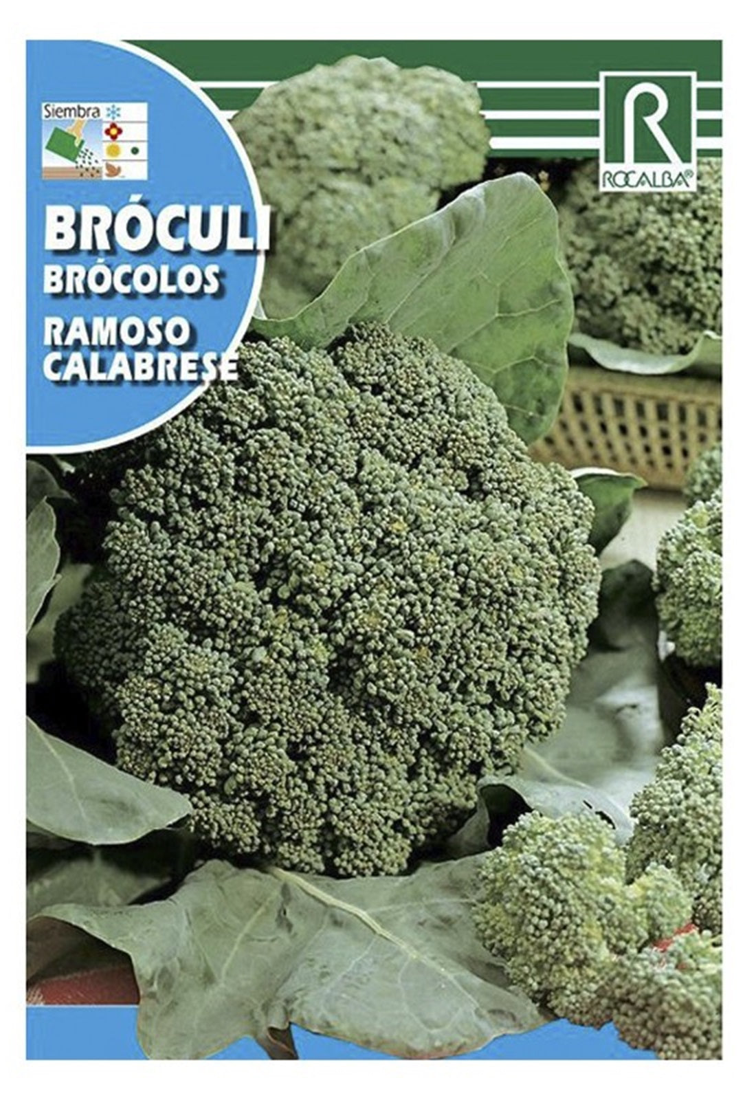 Semillas Brócoli Ramoso Calabrese 8g