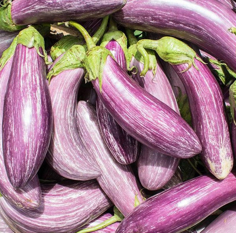 Semillas Berenjena Tsakoniki Ecológicas Biodinámicass Demeter