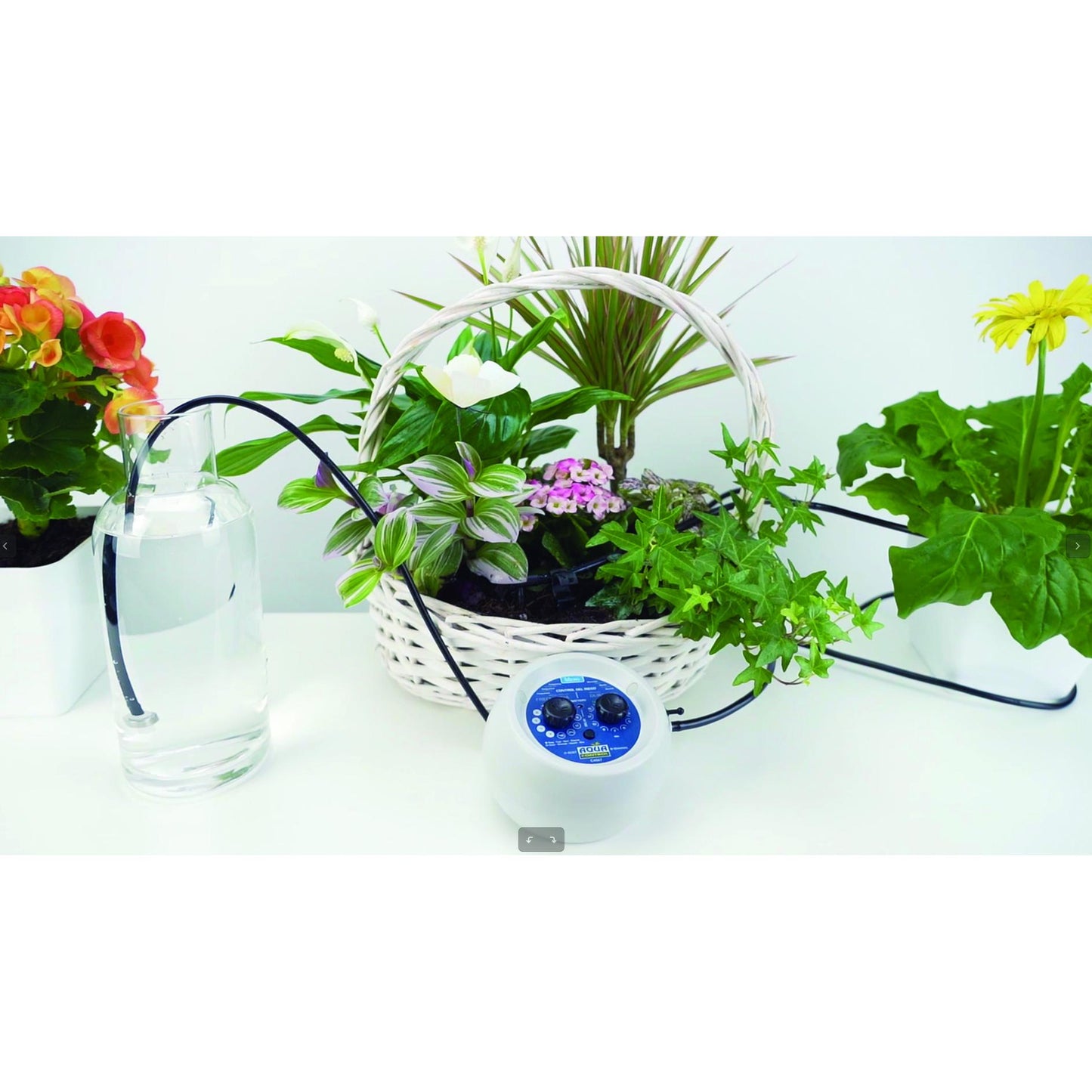 Kit de riego vacacional con bomba programable Aqua Control