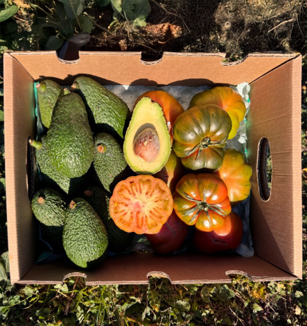 Caja 4kg Mix Aguacates Hass Y Tomate Raf | 2kg De Cada Fruta Tropitop_0