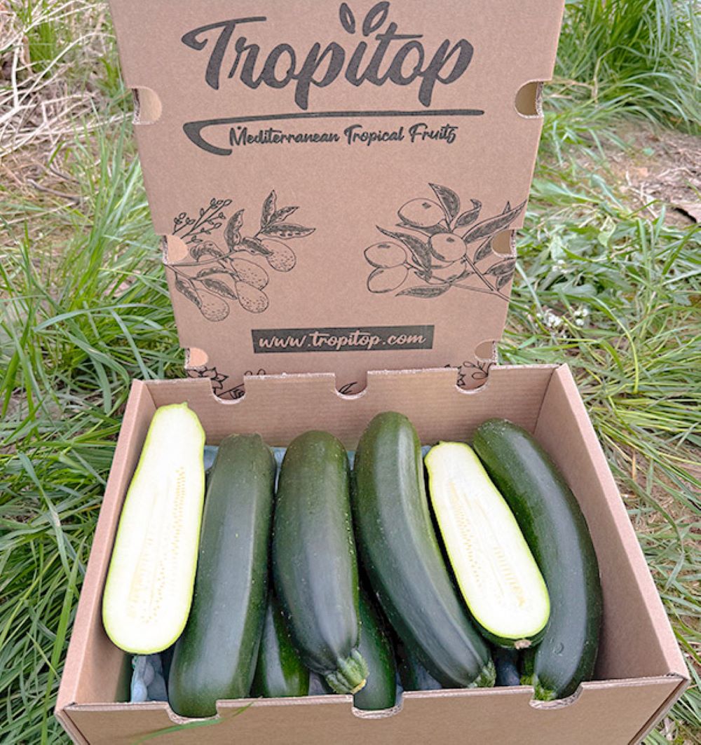 Caja De Calabacín Negro De Temporada Tropitop Caja De 15kg_1