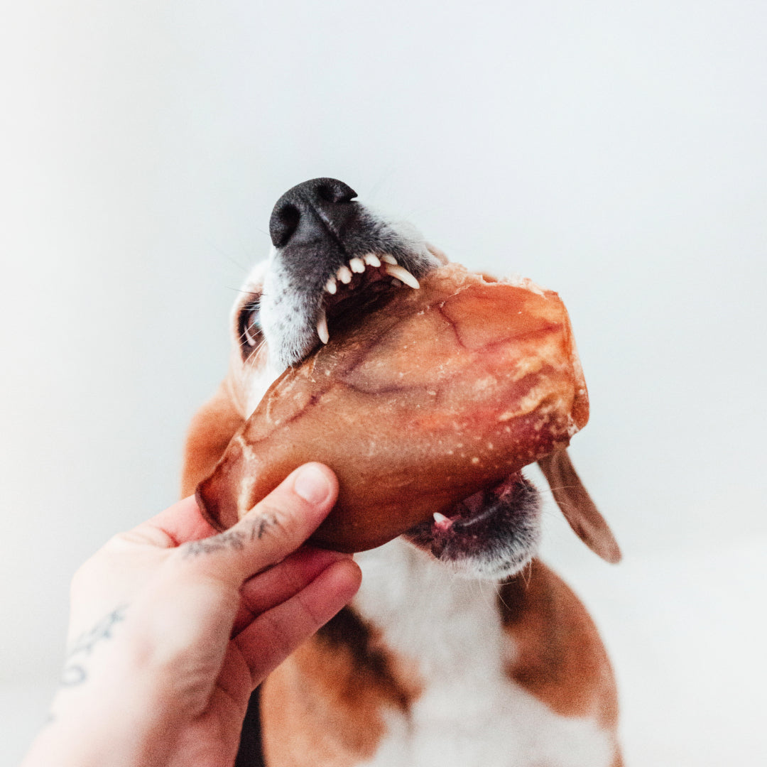 Bimordiscos Pack Snacks Naturales De Cerdo Para Perros_2