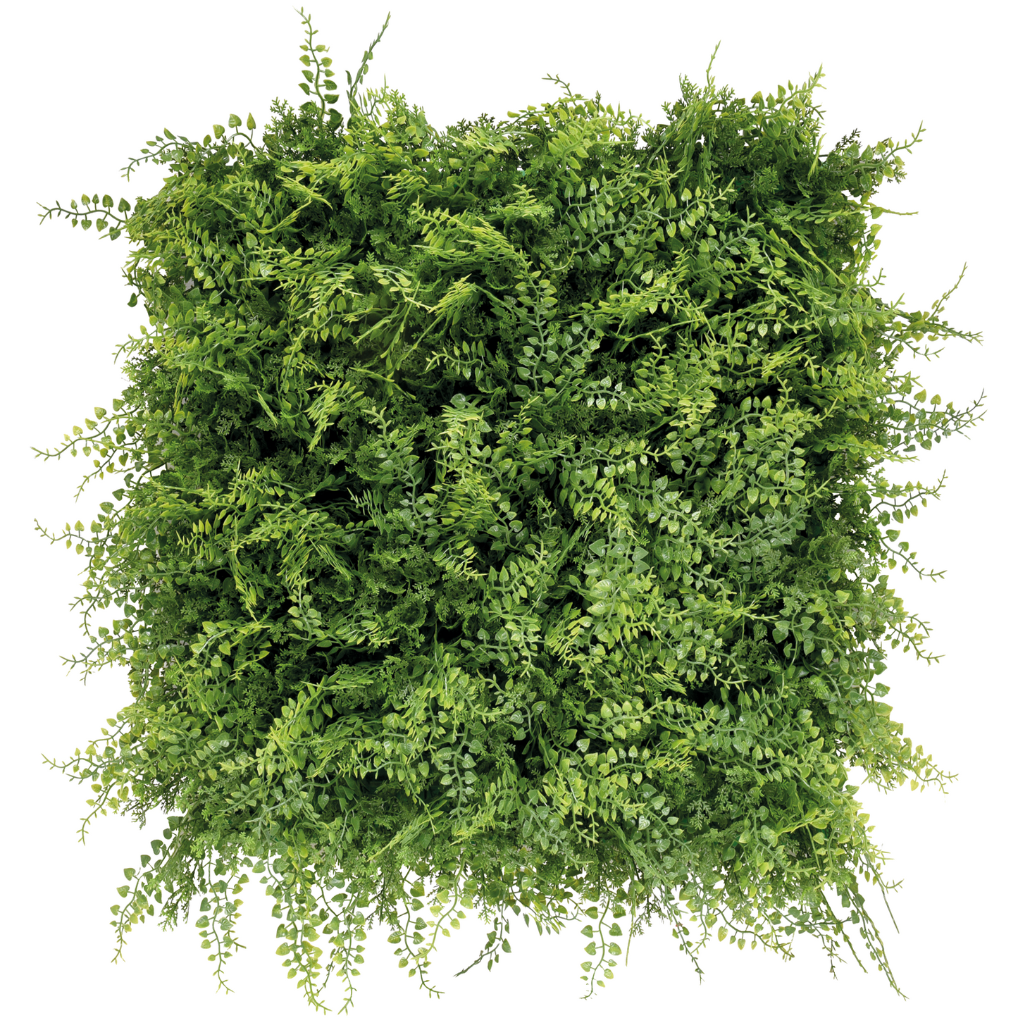 Bonerva | Jardín Vertical Selvático | Pack 4 Piezas 50x50cm_0