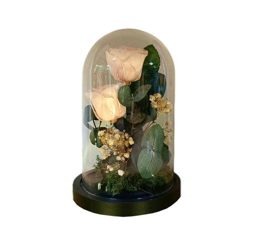 Mundo Eterno 2 Rosa En Cúpula Rosa Claro 12x20cm_0