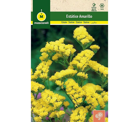 Semillas Estatice Sinuata Amarillo