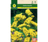 Semillas Estatice Sinuata Amarillo
