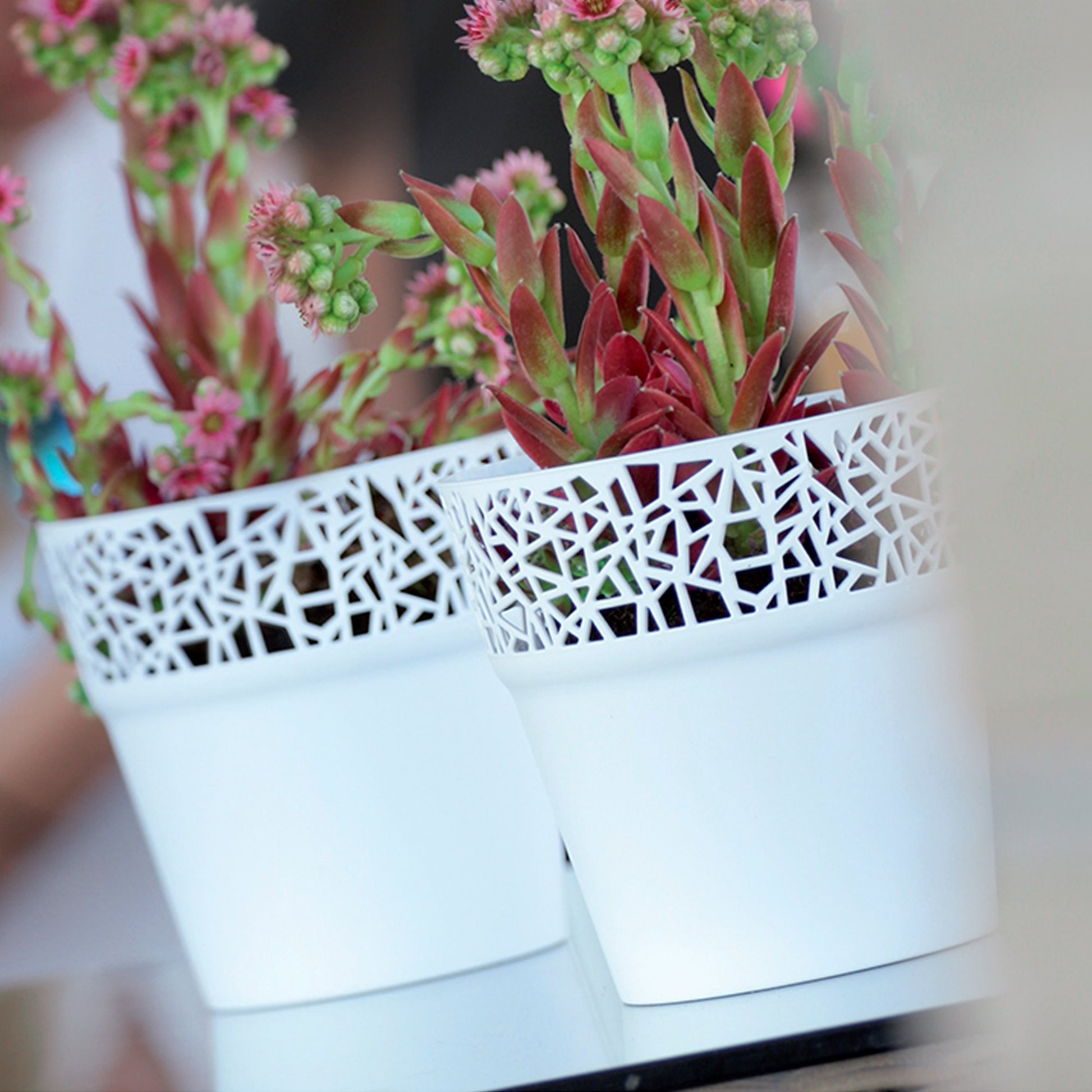 Maceta De Plastico Tree En Color Mocca 17,5 (largo) X 17,5 (ancho) X 17,9 (alto) Cm_1