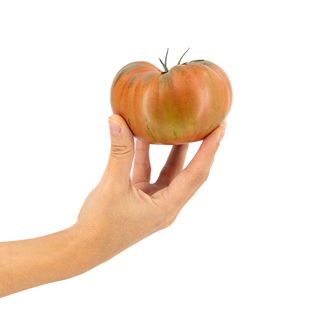Tomate Marmande Rosa_2