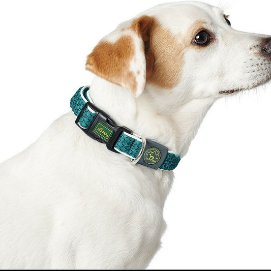 Collar Para Perros Hunter Tema Básico Azul 20_0