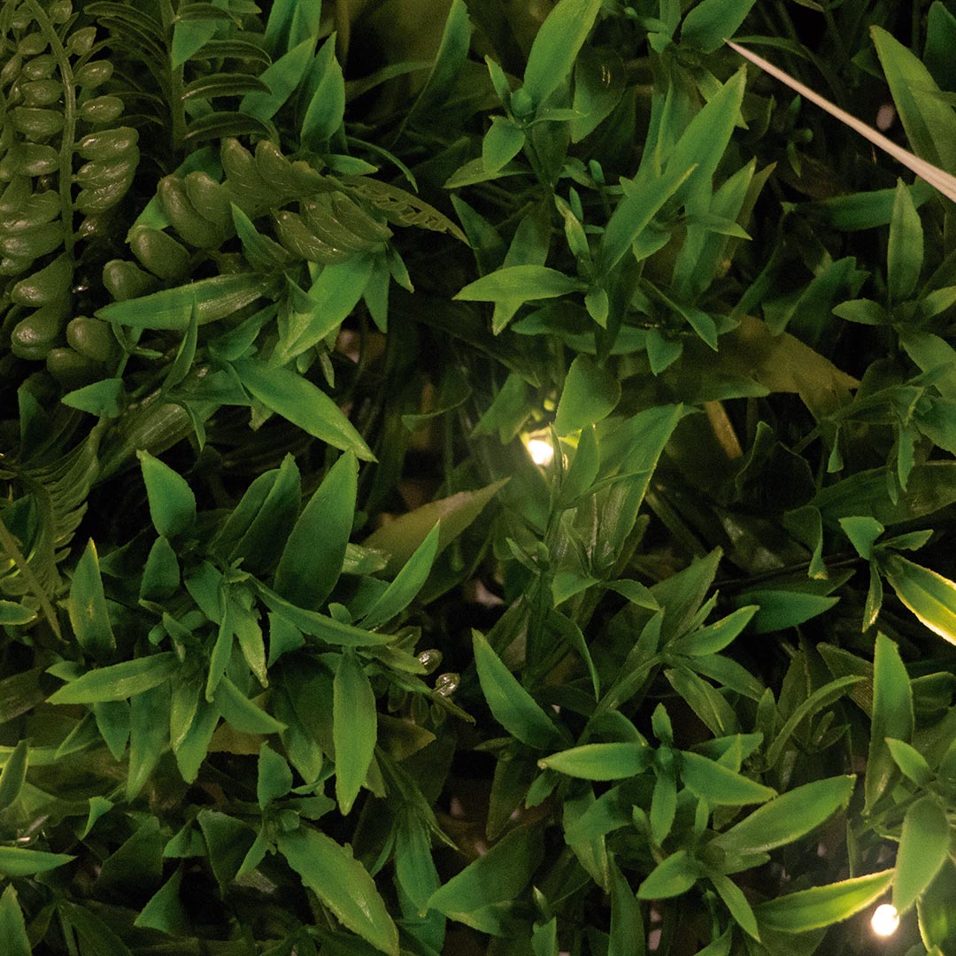 Rollo Jardín Vertical Lighted Sauvalge 1x1 M / Multicolor_1