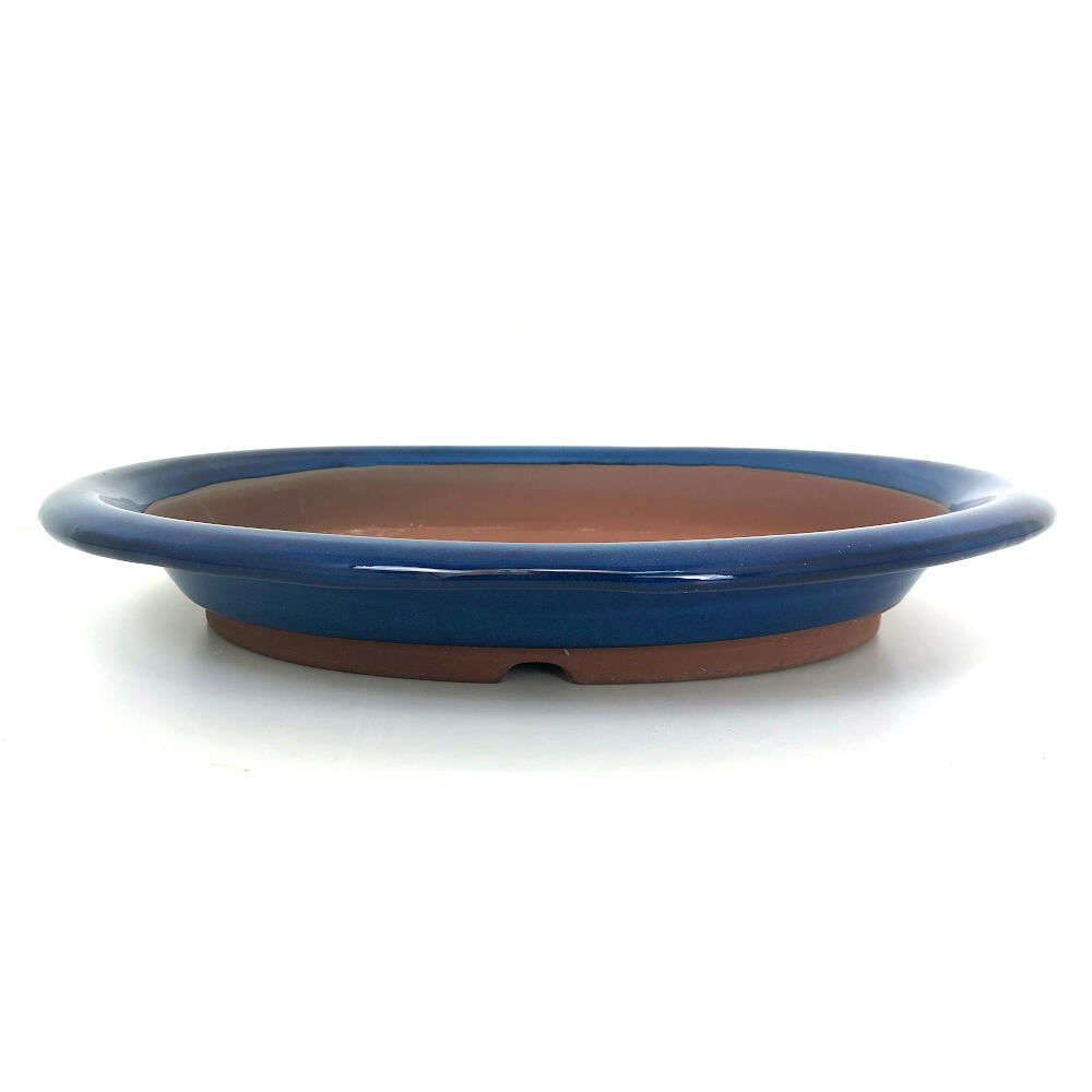 Tiesto Bonsai Oval Azul 39x4.5cm