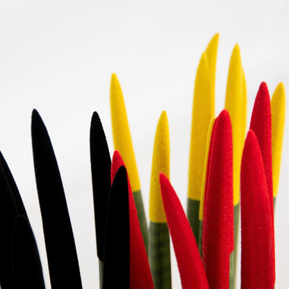 Dracaena Cylindrica - 3 Pzs - Sansevieria Cylindrica - Altura 20-40cm - ⌀9cm