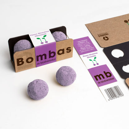 Bombas de Biodiversidad – Flores Silvestres Moradas para Polinizadores, Regalo - Resetea_1