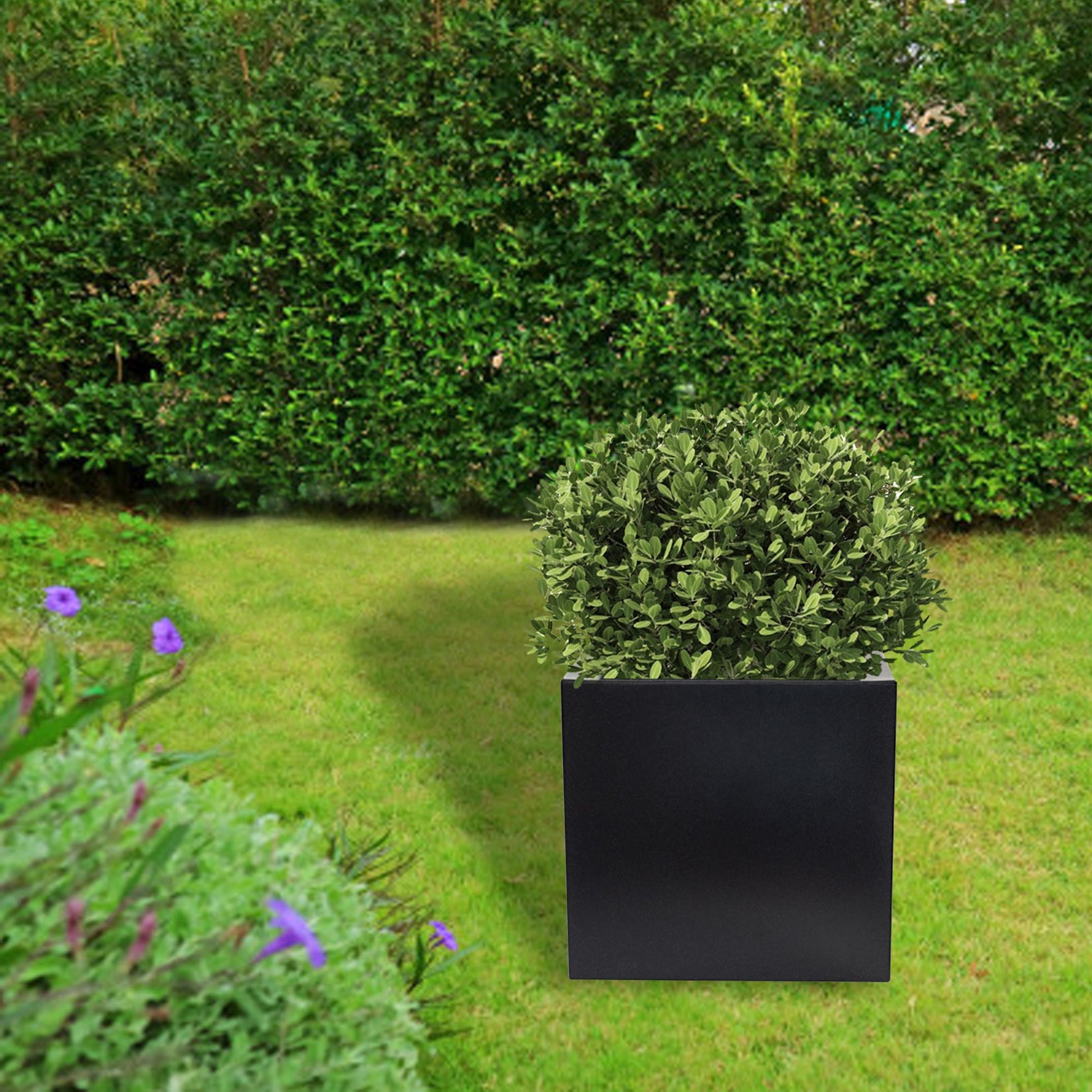 Macetero De Polietileno Antracita 50x50 Cm_3