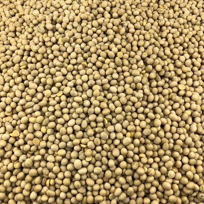 Soja Amarilla Ecológica Granel 0,25 Kg_2