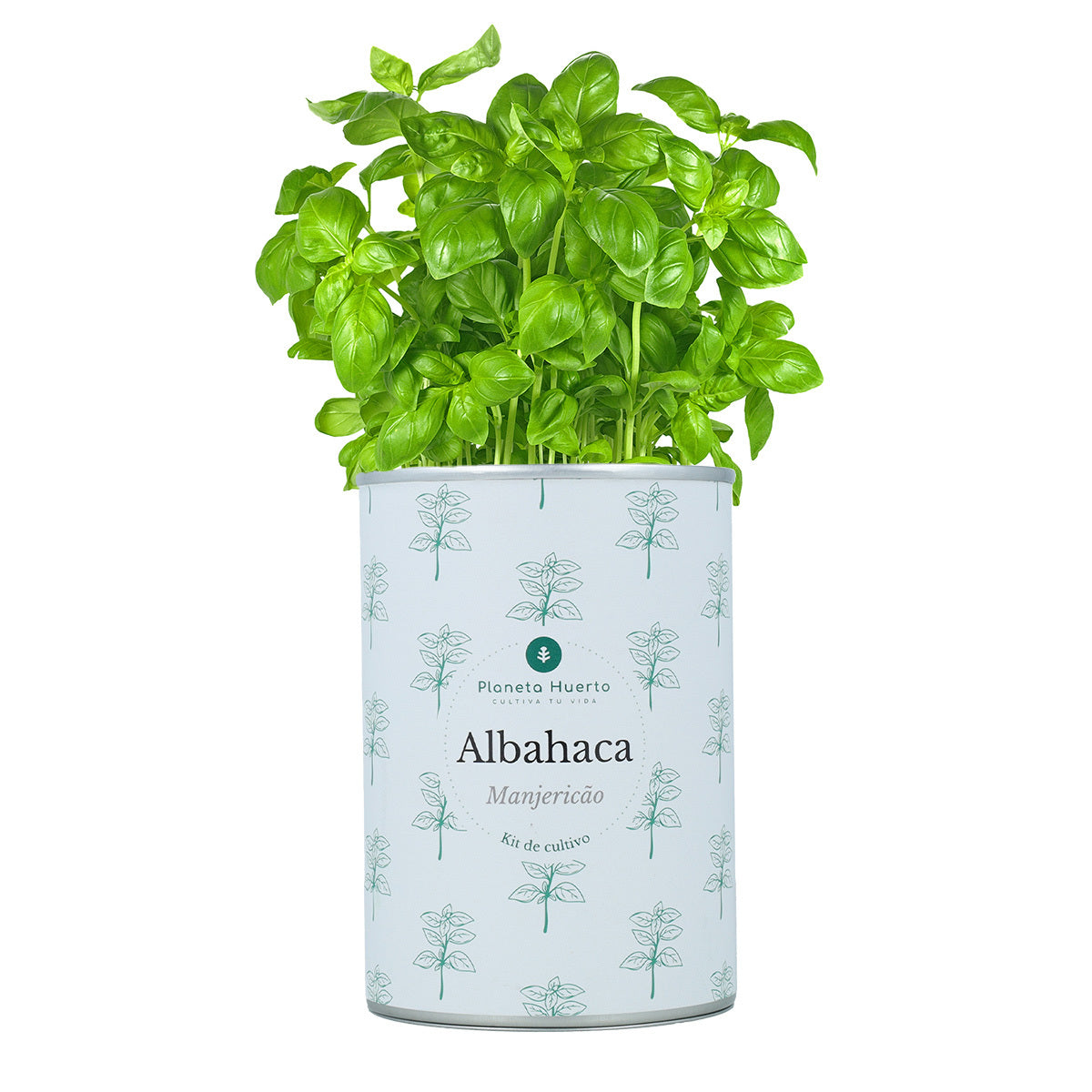 Pack Cofre Kits de cultivo aromáticas Planeta Huerto