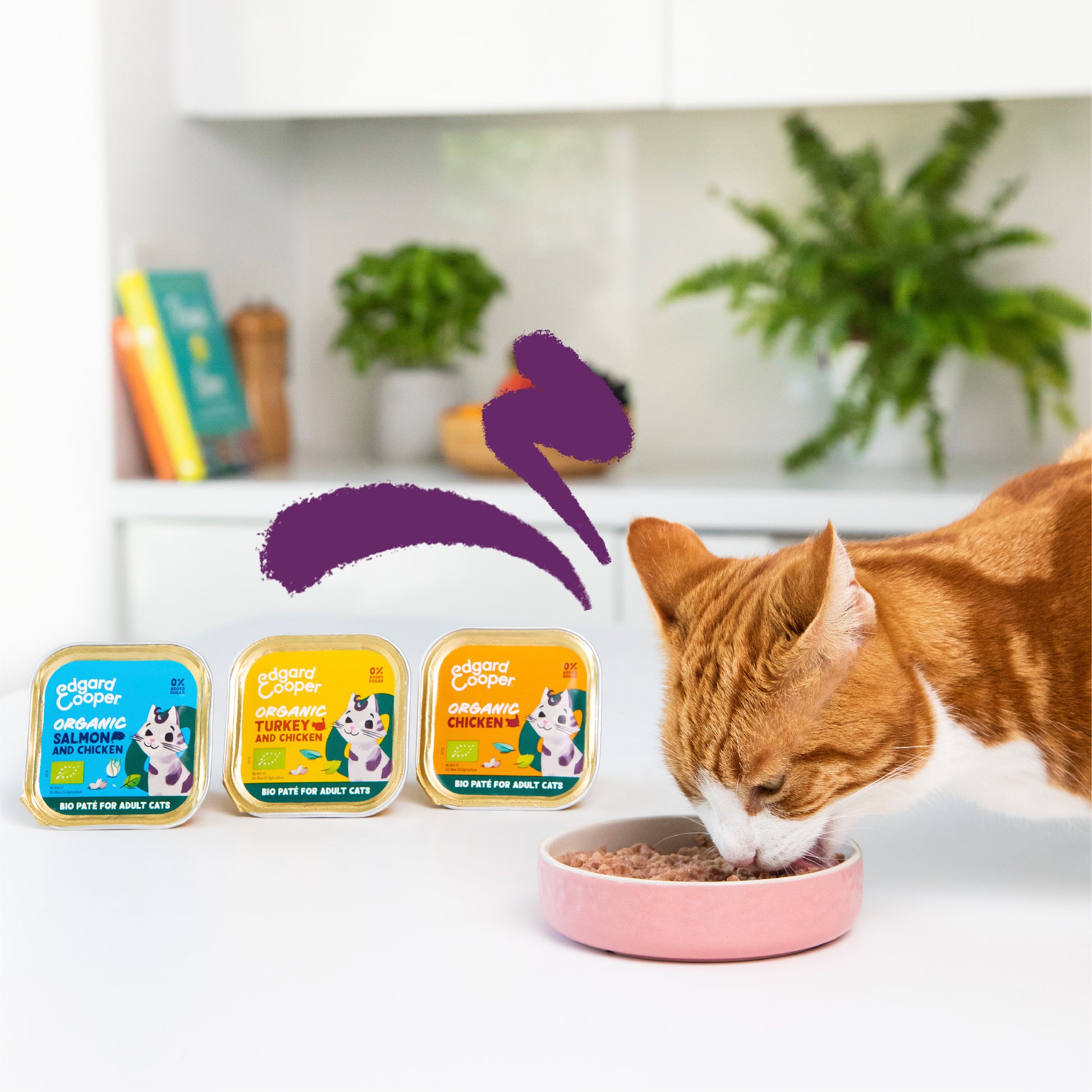Paté ecológico de salmón y pollo para gato adulto Edgard & Cooper 85 g