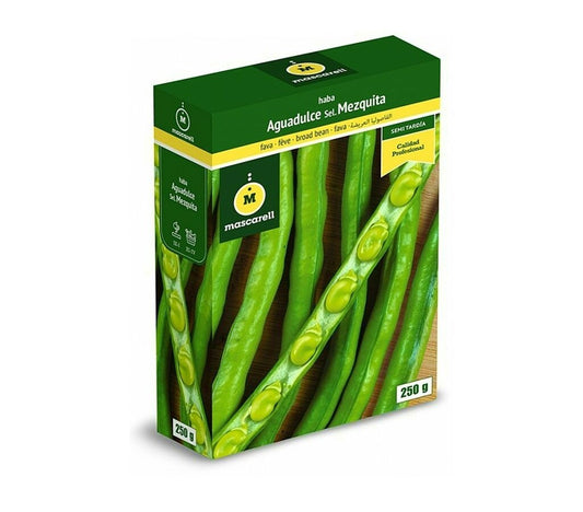 Semillas Haba Aguadulce Mezquita_0