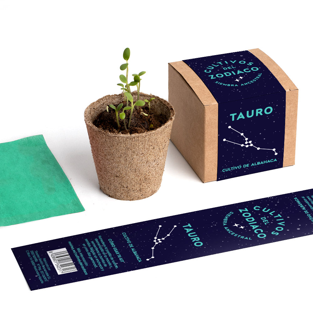 Cultivos Del Zodiaco – Tauro | Kit De Cultivo Con Semillas De Albahaca_4