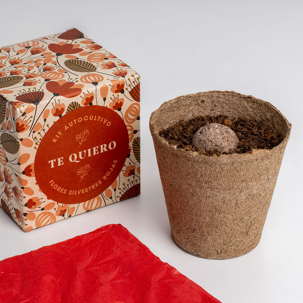 Díselo Con Flores Te Quiero | Kit Cultivo Flores Silvestres Rojas (amapola, Lino Rojo Y Clavel Del Poeta)_2