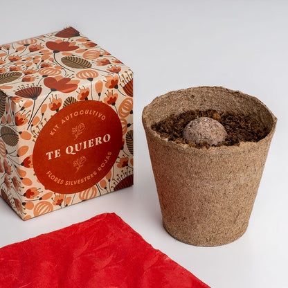 Díselo Con Flores Te Quiero | Kit Cultivo Flores Silvestres Rojas (amapola, Lino Rojo Y Clavel Del Poeta)_2