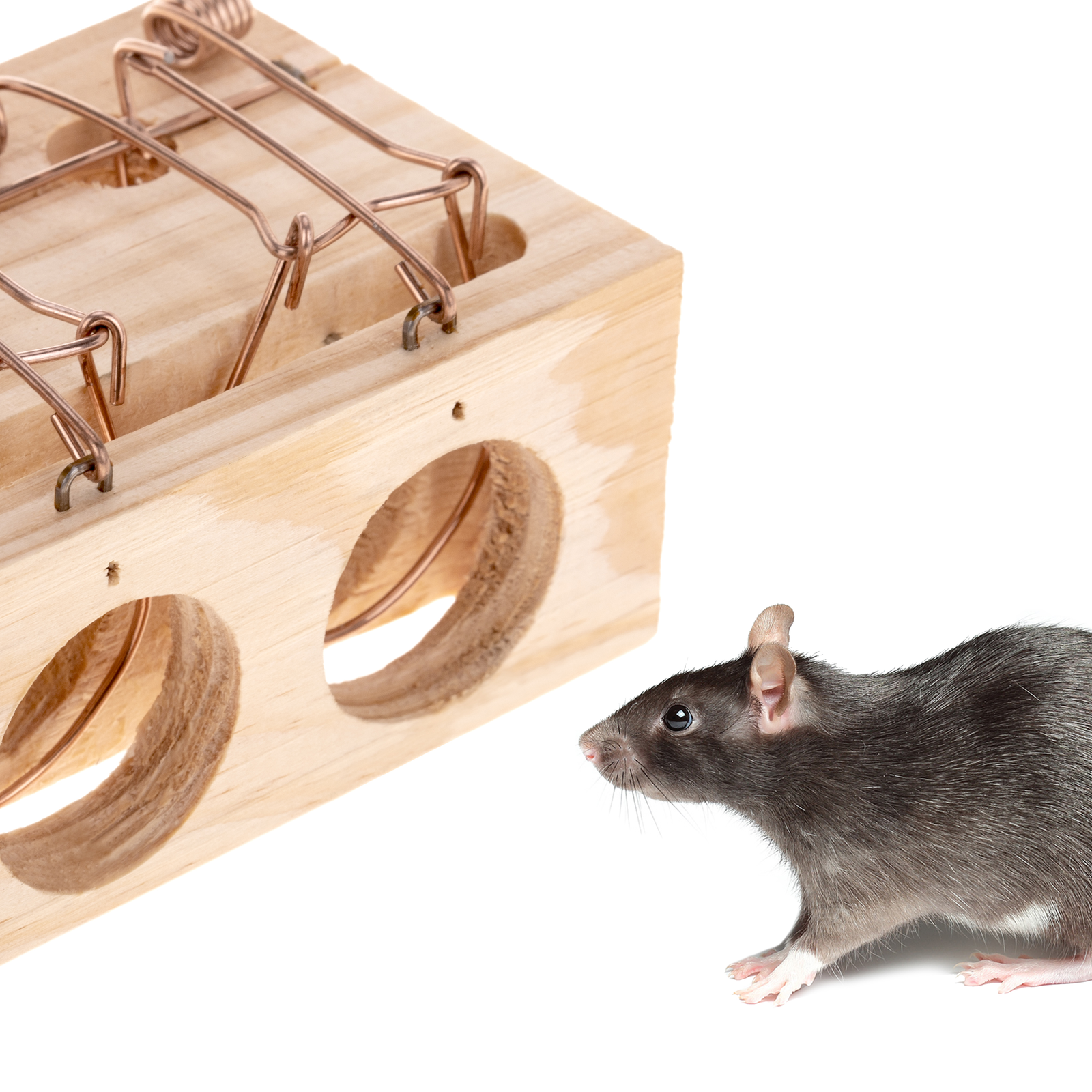 Ratonera Pequeña De Madera Con 2 Entradas De 9.5 X 6,5 X 8 Cm_2