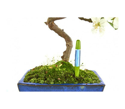 Indicador De Riego Talla M