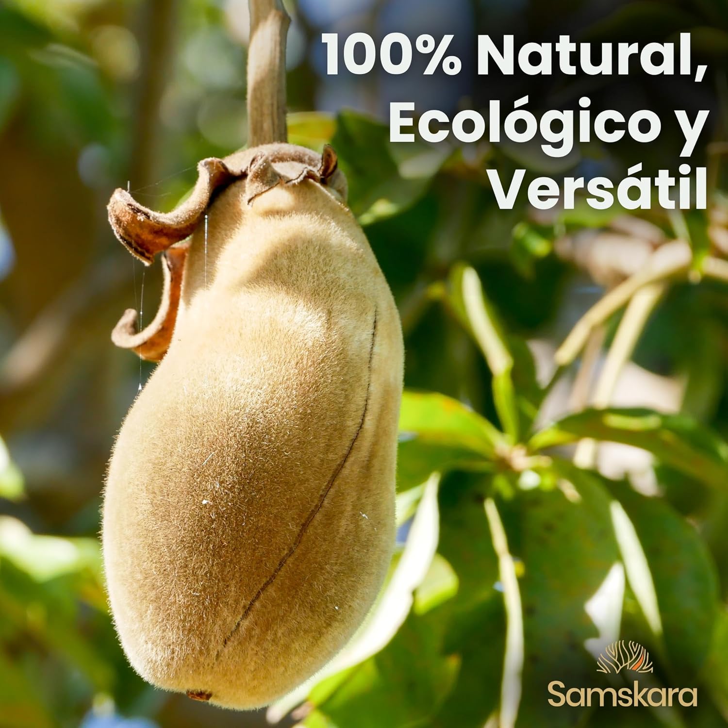 Baobab En Polvo Bio - 250g | Superalimento Ecológico Vegano Para Batidos, Smoothies Y Zumos, Sin Azúcares Añadidos_2
