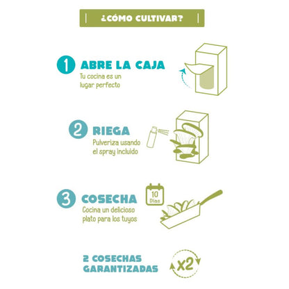 Kit de autocultivo de Setas Pocket Gourmet