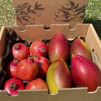 Pack 4kg Mango Y Granadas_3