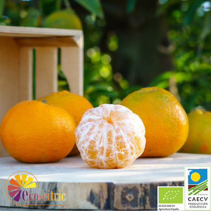 Mandarina Ecológica 20kg._1
