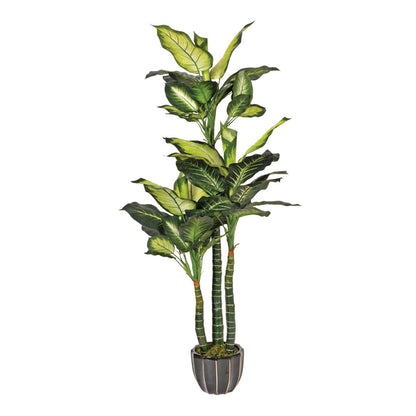Planta Artificial Pata De Elefante - Decoración Natural Sin Mantenimiento 1.5 M / Multicolor_1