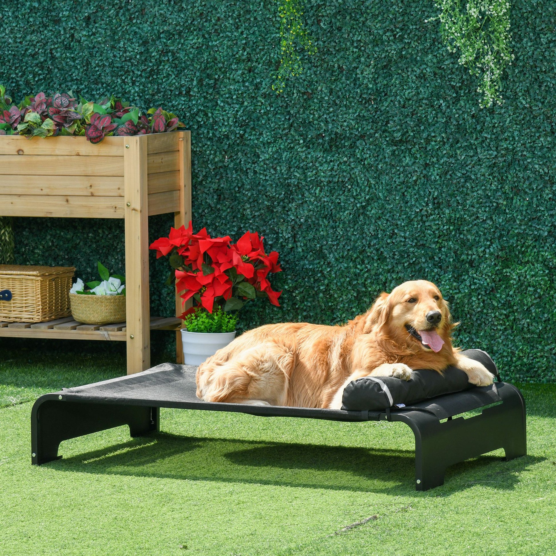 Pawhut Cama Elevada De Perros Mascota Transpirable Con Almohada Extraíble_1